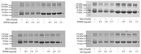 Effect of Pholiota nameko Polysaccharides Inhibiting Methylglyoxal ...