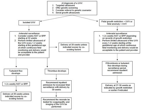 Perinatal Outcomes and Management of Umbilical Vein Varix: A Comprehensive Review of 392 Cases