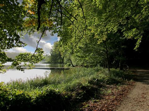 Download wallpaper Autumn, Lake, Forest, Nature, Fall, Track, Autumn ...