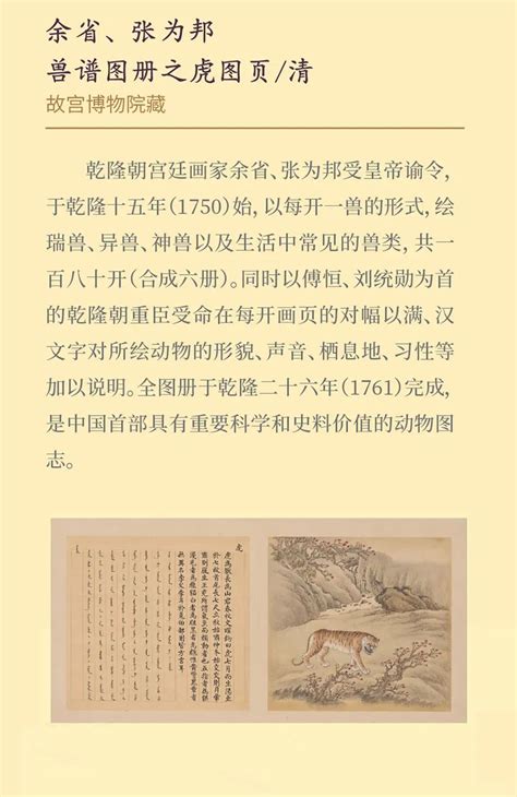《虎虎生福——2022壬寅（虎年）新春生肖文物图片联展》线上展览第一期 - 宝鸡青铜器博物院