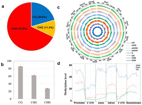 Genome-Wide Methylation Landscape Uncovers the Role of DNA Methylation ...