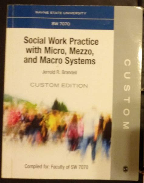 Social Work Practice with Micro, Mezzo, and Macro Systems : Jerrold R ...
