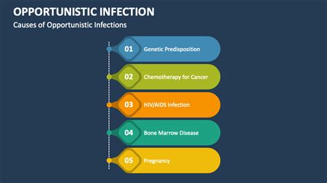 Image result for Opportunistic Pathogen