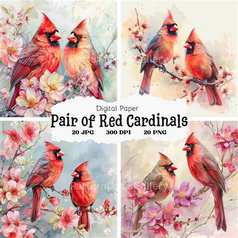 20 Red Cardinal Clip Art, Floral Red Cardinal Images, Printable ...