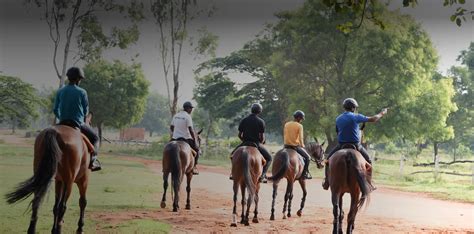 Welcome to Embassy International Riding School