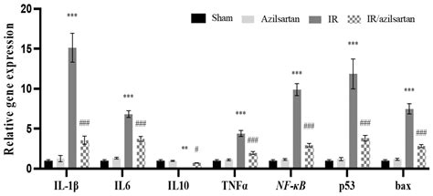 Azilsartan Modulates HMGB1/NF-κB/p38/ERK1/2/JNK and Apoptosis Pathways ...