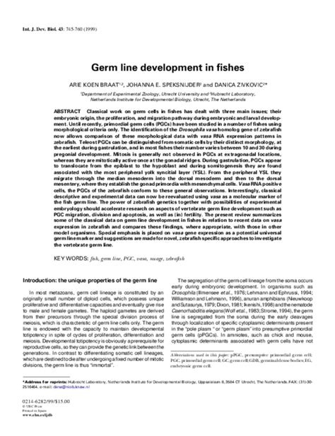 Image result for Germ Line Development