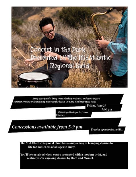 Array Example Poster 的图像结果