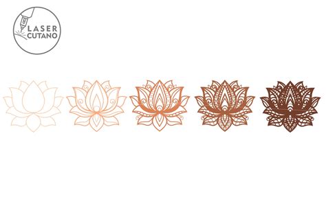 Image result for Lotus CorelDraw File