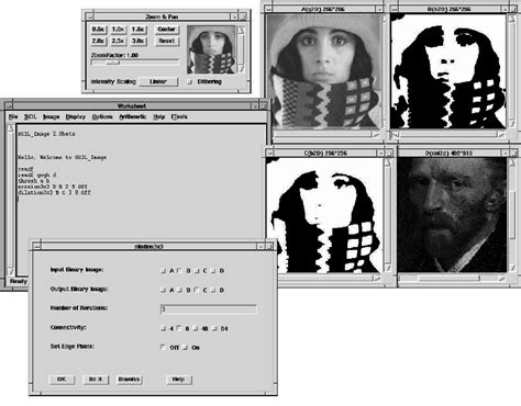 Image result for Library Processing