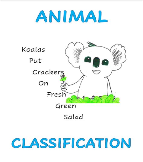 Image result for Animal Classification Tutorial in Python