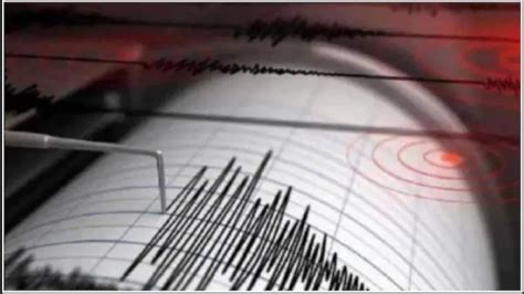 Earthquake of magnitude 7.2 strikes near Tonga - India Today