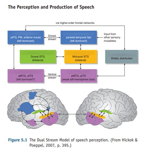 Image result for Dual Streaming Definition