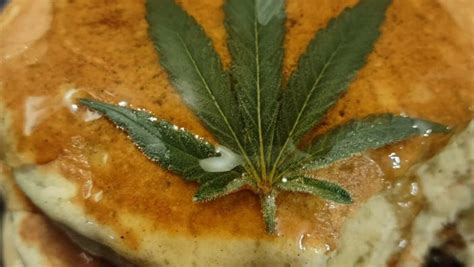 Image result for Edibles Recipes Using Cannabutter