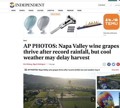 Napa Valley wine grapes thrive after record rainfall, but cool weather ...