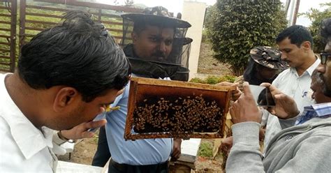 कृषी विज्ञान केंद्र नारायणगाव येथे मधुमक्षिका पालनावर कार्यशाळा संपन्न