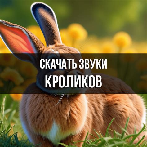 Звуки кроликов скачать и слушать бесплатно mp3 на Zvukogram.com