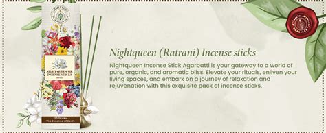 VITMINVEDA Nightqueen Incense Stick, Ratrani Agarbatti, Pack of 3 (3 x ...