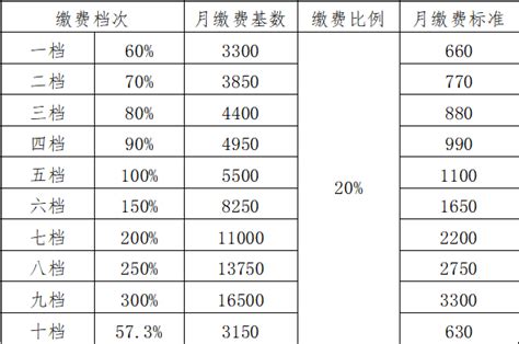 襄阳市社保缴费基数和档次2023（城镇职工+城乡居民+灵活就业）-社保100网
