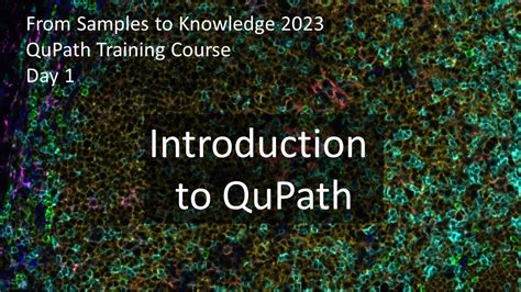 Image result for QuPath Basics