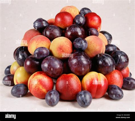 STONE FRUITS / PEACHES; PLUMS; PRUNES; DRIED APRICOTS; PRUNE PLUMS ...
