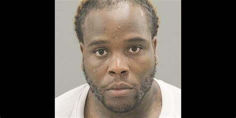 Rockford man charged after he allegedly shoots, kills dog attacking his ...