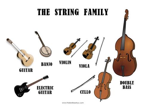 Image result for Five Musical Instrument