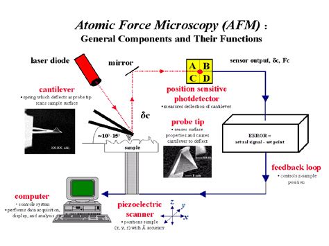 Image result for Scanning Probe Microscopy