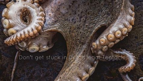 Image result for Dutch Civil Code