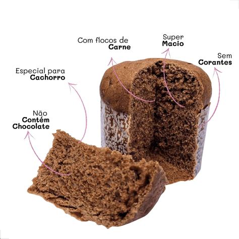 Panetone para Cachorro Gourmet Petisco para Cães Doogs 80G | SHEIN Brasil
