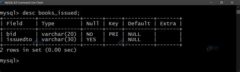 Library Management Python Source Code Project Class 12th 的图像结果