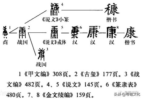 康-漢字的藝術與中華姓氏文化荀卿庠整理 - 每日頭條