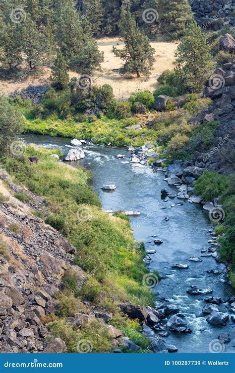 Crooked river in Oregon stock image. Image of oregon - 100287739