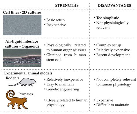Bacterial Colonization of the Female Upper Genital Tract
