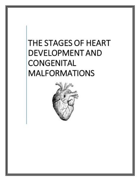 Image result for Heart Development Disorders