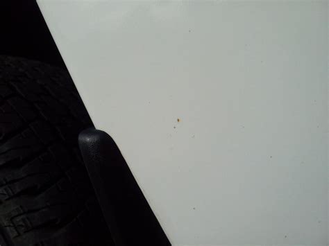 Fender Rust Removal 的图像结果