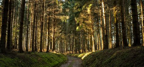 Image result for ISO 14001 Explained