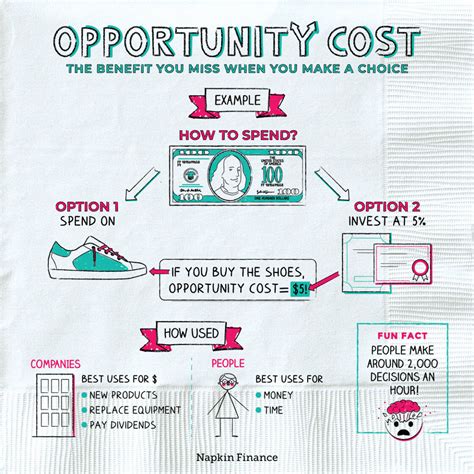 What is Opportunity Cost | Investment Opportunities | Napkin Finance
