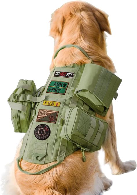 Amazon.com : Tactical Dog Harness w/Pouches - Service Dog, K9 Vest ...