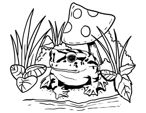 Coloring Pages For Frog Realistic