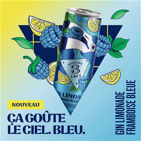 Blue Raspberry Gin Lemonades : Gin Limonade Framboise Bleue