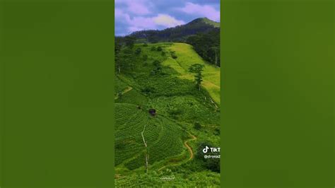 Image result for Mathale Palce