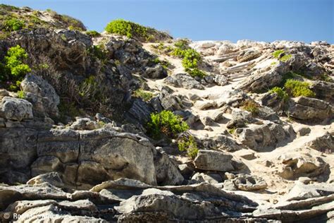 Cosy Weekend at the De Hoop Nature Reserve