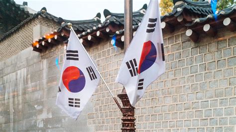 Download Two South Korean Flags Wallpaper | Wallpapers.com
