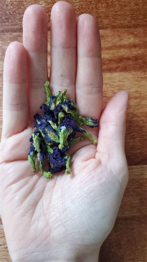 Color Changing Drinks 的图像结果