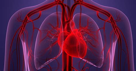 AFib Heart Condition 的图像结果