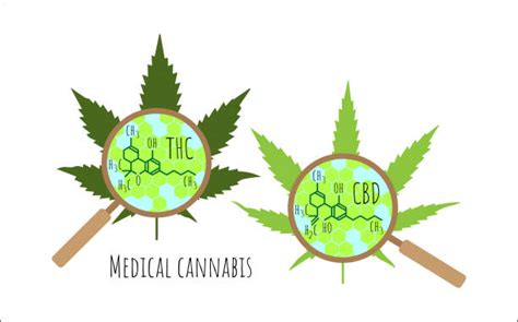 Image result for THC Molecule Vector