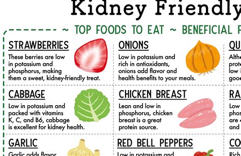 Kidney Friendly Foods Guide: Printable Nutrition Chart (PDF Download) Patient Education, Cheat ...