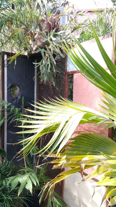Flora Grubb Gardens Office Photos