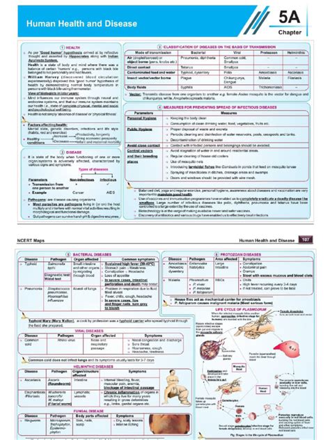 Biology Mind Map 的图像结果